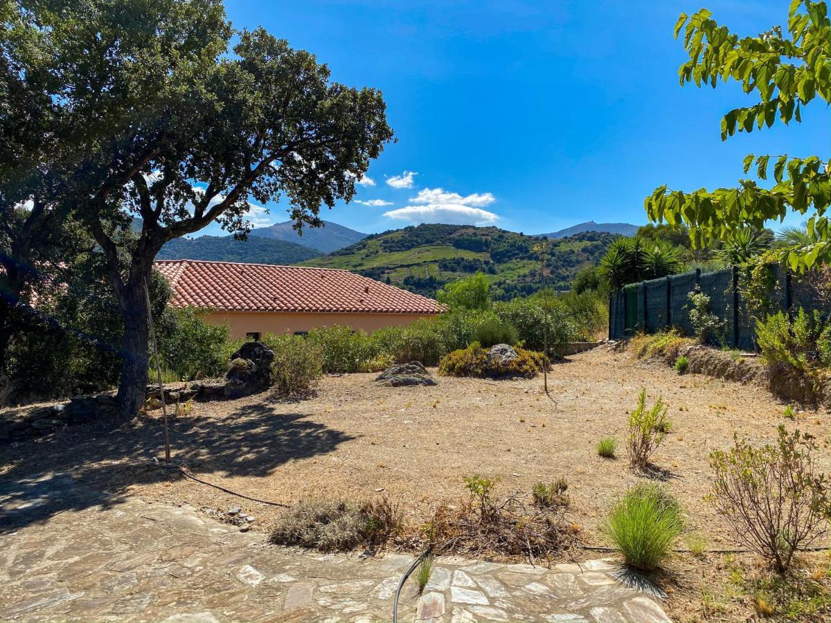 קוליור 4Amb2 Villa De Caractere Avec Piscine Collective מראה חיצוני תמונה